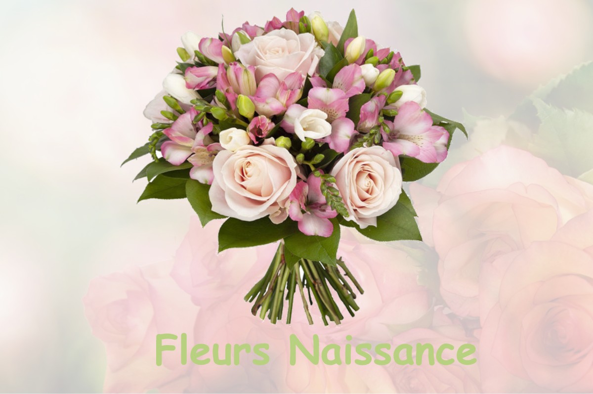 fleurs naissance BETONCOURT-SAINT-PANCRAS